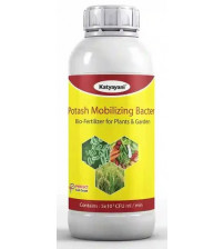 Katyayani Potash Mobilizing Bacteria (1 Litre x 5 Bottles)